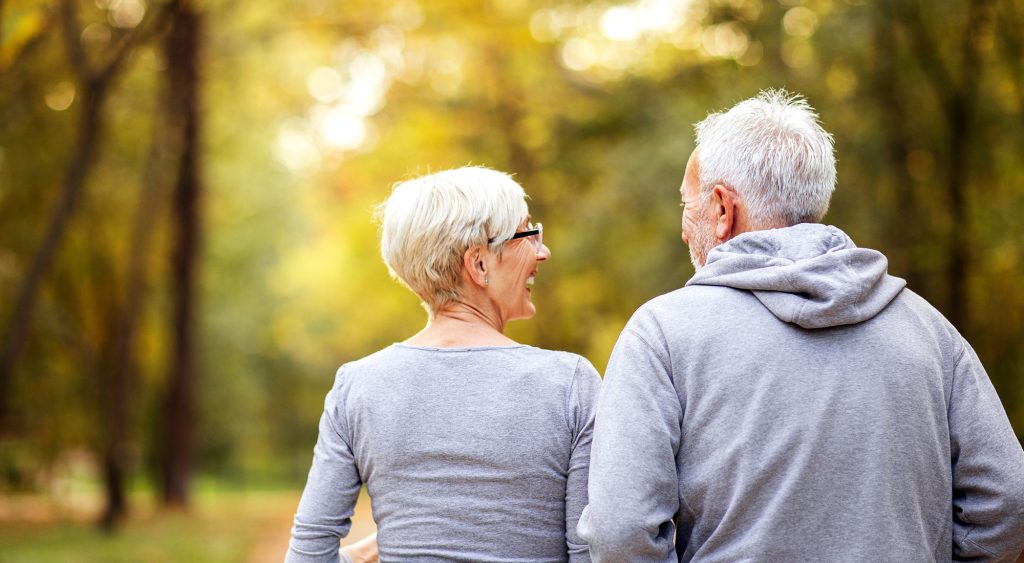 Gustaaf Adolf banner